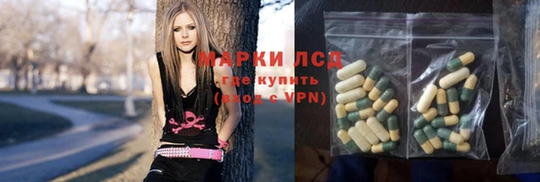 прущие грибы Абдулино