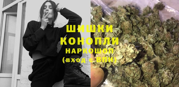 прущие грибы Абдулино