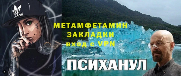 прущие грибы Абдулино