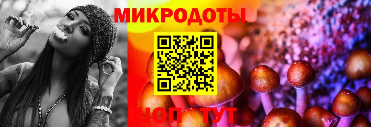 Южноуральск  Галлюциногенные грибы Psilocybe  Галлюциногенные грибы мицелий  Вход с VPN 